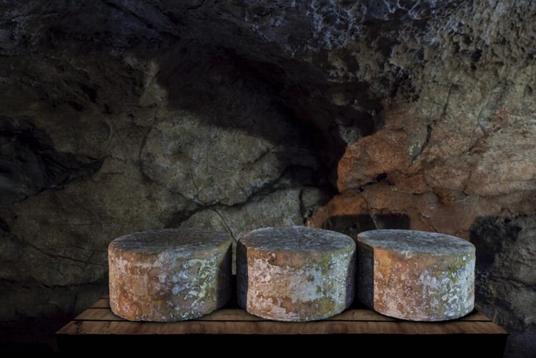 Tres quesos de cabrales en la Cueva del Molín de Central Lechera Asturiana